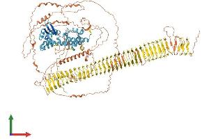 AlphaFold protein structure predicition of Human Recombinant TRO Protein, UniprotID Q12816