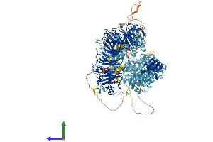 AlphaFold protein structure predicition of Human Recombinant GEMIN5 Protein, UniprotID Q8TEQ6