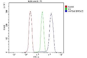 Flow Cytometry analysis of U937 cells using anti-MAP3K8 antibody (ABIN4886663). (MAP3K8 anticorps  (AA 9-193))