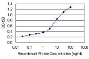 anti-Inducible T-Cell Co-Stimulator (ICOS) (AA 21-140) antibody