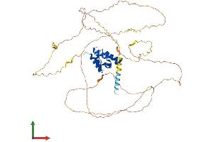 AlphaFold protein structure predicition of Human Recombinant MAVS Protein, UniprotID Q7Z434
