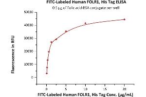 Immobilized Folic acid-BSA conjugate at 5 μg/mL (100 μL/well) can bind Fed Human FOLR1, His Tag (ABIN6973072) with a linear range of 0.