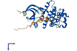 AlphaFold protein structure predicition of Human Recombinant CDK6 Protein, UniprotID Q00534