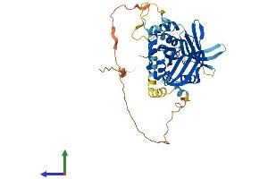 AlphaFold protein structure predicition of Human Recombinant TEAD4 Protein, UniprotID Q15561