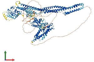 AlphaFold protein structure predicition of Mouse Recombinant Mcf2l Protein, UniprotID Q64096