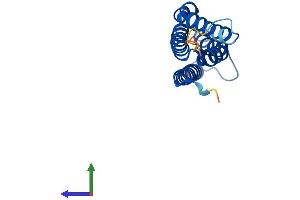 AlphaFold protein structure predicition of Human Recombinant MGST3 Protein, UniprotID O14880