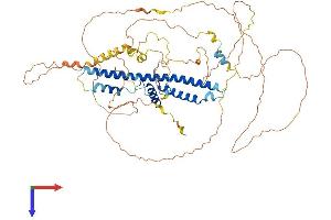 AlphaFold protein structure predicition of Human Recombinant CREBRF Protein, UniprotID Q8IUR6