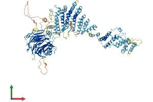 AlphaFold protein structure predicition of Human Recombinant NUP133 Protein, UniprotID Q8WUM0