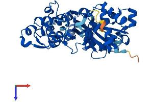 AlphaFold protein structure predicition of Human Recombinant ACTRT3 Protein, UniprotID Q9BYD9