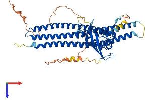 AlphaFold protein structure predicition of Mouse Recombinant Snx30 Protein, UniprotID Q8CE50