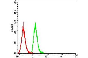 Flow cytometric analysis of Hela cells using CD84 mouse mAb (green) and negative control (red).