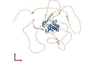 AlphaFold protein structure predicition of Human Recombinant N4BP2L2 Protein, UniprotID Q92802
