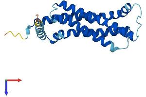 AlphaFold protein structure predicition of Mouse Recombinant Tmem126a Protein, UniprotID Q9D8Y1