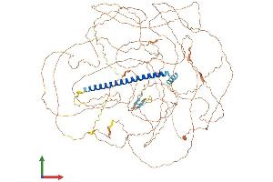 AlphaFold protein structure predicition of Mouse Recombinant Tsc22d1 Protein, UniprotID P62500