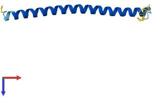 AlphaFold protein structure predicition of Mouse Recombinant Hsbp1 Protein, UniprotID Q9CQZ1