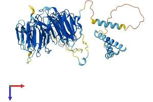 AlphaFold protein structure predicition of Human Recombinant EIF2A Protein, UniprotID Q9BY44