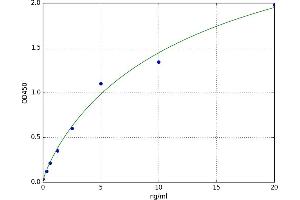 Eukaryotic Translation Initiation Factor 2-alpha Kinase 2 (EIF2AK2) ELISA Kit