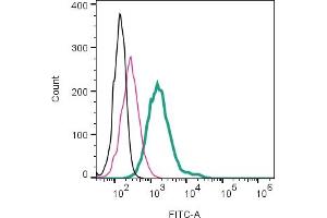 Cell surface detection of Somatostatin Receptor Type 2 in live intact mouse J774 macrophage cells:___ Cells.