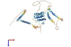 AlphaFold protein structure predicition of Mouse Recombinant Ccdc60 Protein, UniprotID Q8C4J0