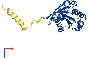 AlphaFold protein structure predicition of Mouse Recombinant Arl15 Protein, UniprotID Q8BGR6