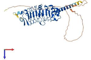 AlphaFold protein structure predicition of Mouse Recombinant Ppp1r42 Protein, UniprotID Q8R1Z4