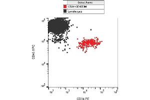 Flow cytometry analysis (surface staining) of CD34 in human peripheral blood with anti-CD34 (QBEnd-10) PE. (CD34 anticorps  (PE))