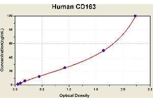 Diagramm of the ELISA kit to detect Human CD163with the optical density on the x-axis and the concentration on the y-axis.