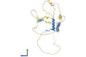 AlphaFold protein structure predicition of Mouse Recombinant Otp Protein, UniprotID O09113