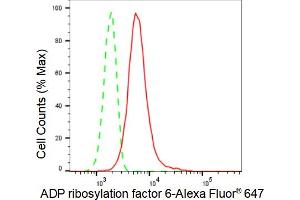 Flow cytometric analysis of ADP ribosylation factor 6 expression in HT- cells using ADP ribosylation factor 6 antibody (ABIN7797532), 1:2,000). (Recombinant ARF6 anticorps)