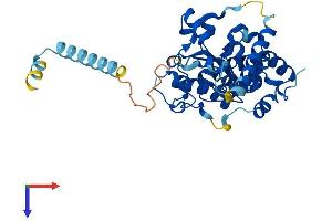 AlphaFold protein structure predicition of Human Recombinant CHST11 Protein, UniprotID Q9NPF2