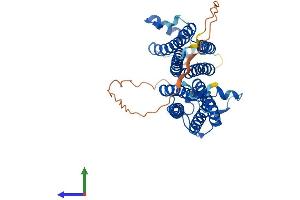 AlphaFold protein structure predicition of Mouse Recombinant Cox15 Protein, UniprotID Q8BJ03