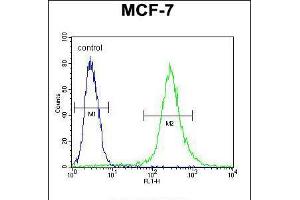 Flow cytometric analysis of MCF-7 cells (right histogram) compared to a negative control cell (left histogram). (RPS24 anticorps  (AA 65-93))