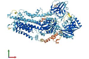 AlphaFold protein structure predicition of Mouse Recombinant Atp8a1 Protein, UniprotID P70704