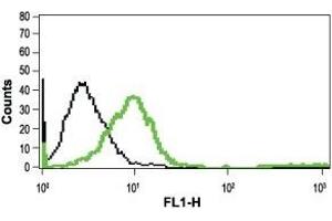 Cell surface detection of mGluR1 in live intact Jurkat cells: (black line) Unstained cells + goat-anti-rabbit-FITC.