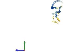 AlphaFold protein structure predicition of Human Recombinant CCDC65 Protein, UniprotID Q8IXS2