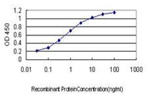 Detection limit for recombinant GST tagged HARS is approximately 0. (HARS1/Jo-1 anticorps  (AA 1-96))