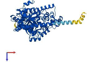 AlphaFold protein structure predicition of Mouse Recombinant Faah Protein, UniprotID O08914