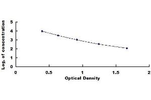Typical standard curve