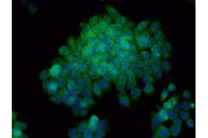 Image provided by One World Lab validation program.