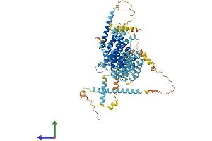 AlphaFold protein structure predicition of Mouse Recombinant Noc3l Protein, UniprotID Q8VI84