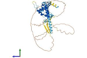 AlphaFold protein structure predicition of Mouse Recombinant Sec62 Protein, UniprotID Q8BU14
