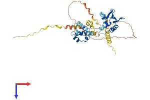 AlphaFold protein structure predicition of Human Recombinant ETV7 Protein, UniprotID Q9Y603