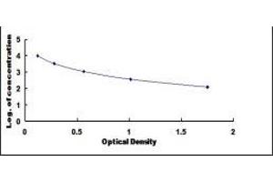 1-Desamino 8D Arginine Vasopressin ELISA Kit