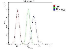 Flow Cytometry analysis of A549 cells using anti- PARN antibody (ABIN6719422). (PARN anticorps  (AA 1-301))