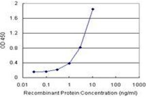 Sandwich ELISA detection sensitivity ranging from 0. (TRIM55 (Humain) Matched Antibody Pair)