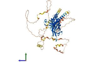 AlphaFold protein structure predicition of Mouse Recombinant Rtkn2 Protein, UniprotID Q14B46