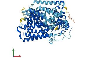 AlphaFold protein structure predicition of Mouse Recombinant Slc5a10 Protein, UniprotID Q5SWY8