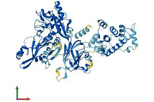 AlphaFold protein structure predicition of Human Recombinant CAPN8 Protein, UniprotID A6NHC0