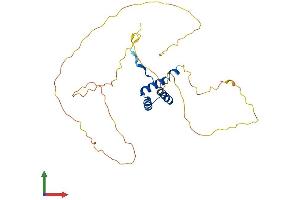 AlphaFold protein structure predicition of Human Recombinant DLX5 Protein, UniprotID P56178