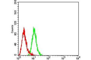 Flow cytometric analysis of HL-60 cells using CD134 mouse mAb (green) and negative control (red).